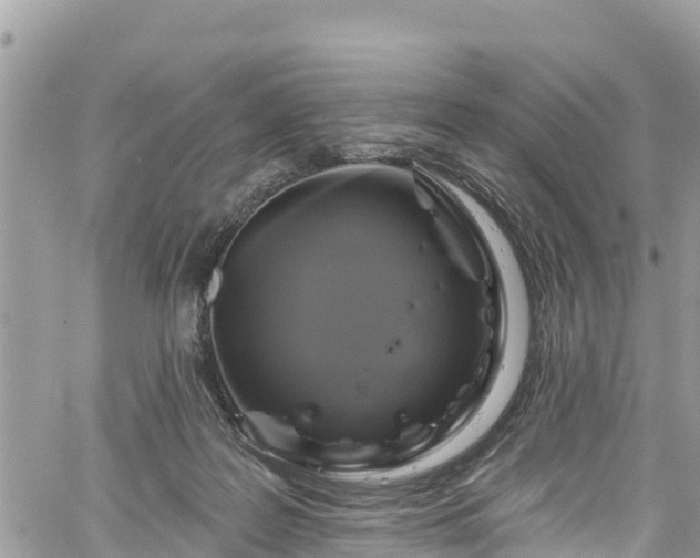 X0000061150219200511211010