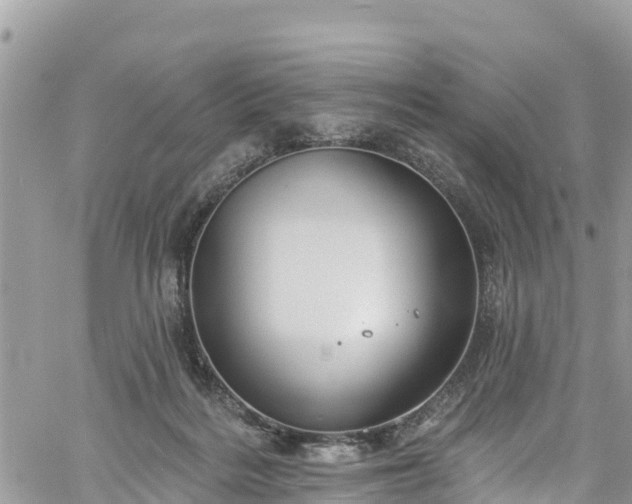 X0000061150220200511211010