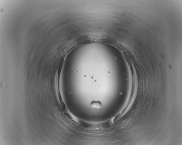 X0000061150221200511211010