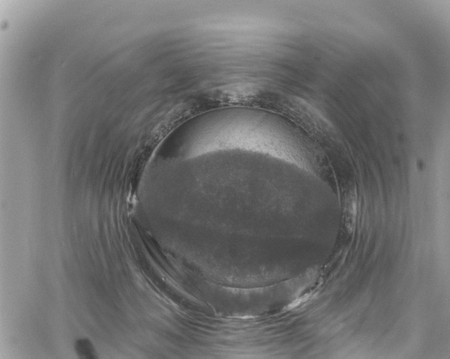 X0000061150222200511211010