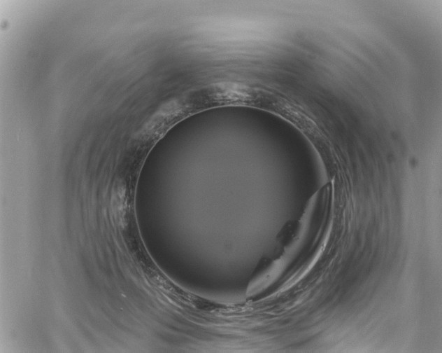 X0000061150223200511211010