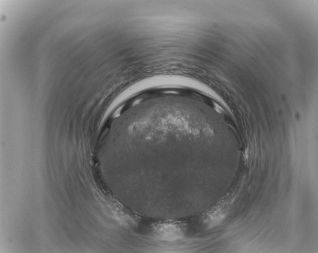 X0000061150224200511211010