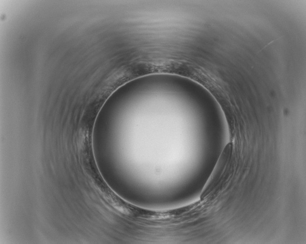 X0000061150225200511211010