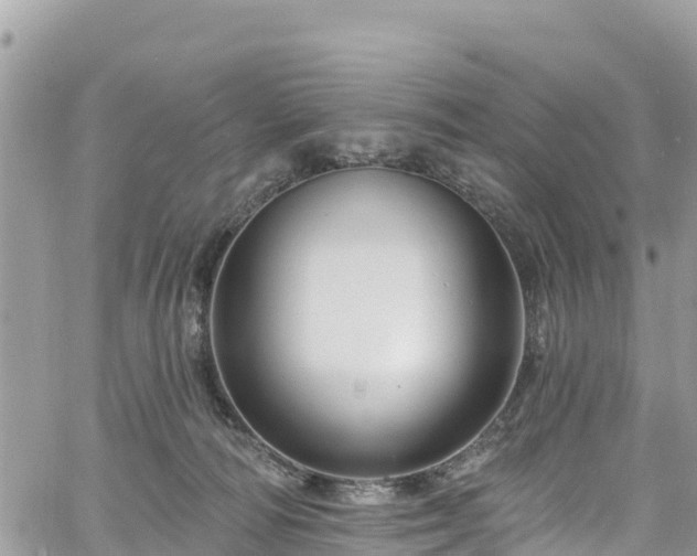 X0000061150226200511211010