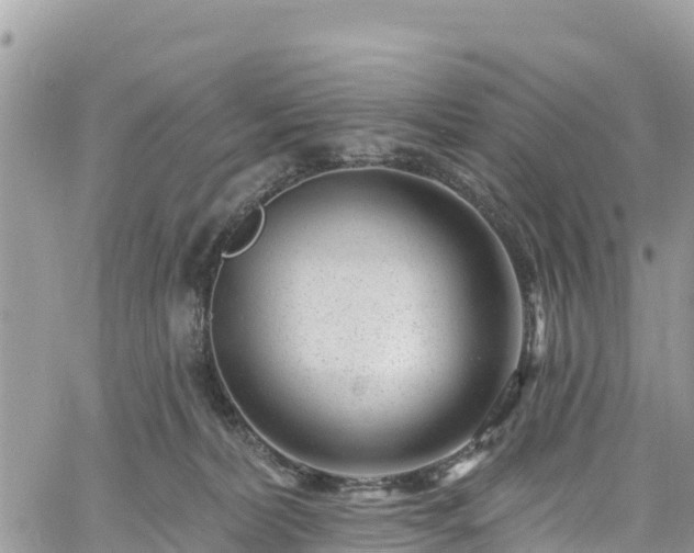 X0000061150228200511211010