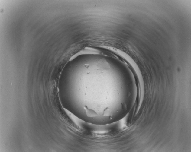 X0000061150229200511211010