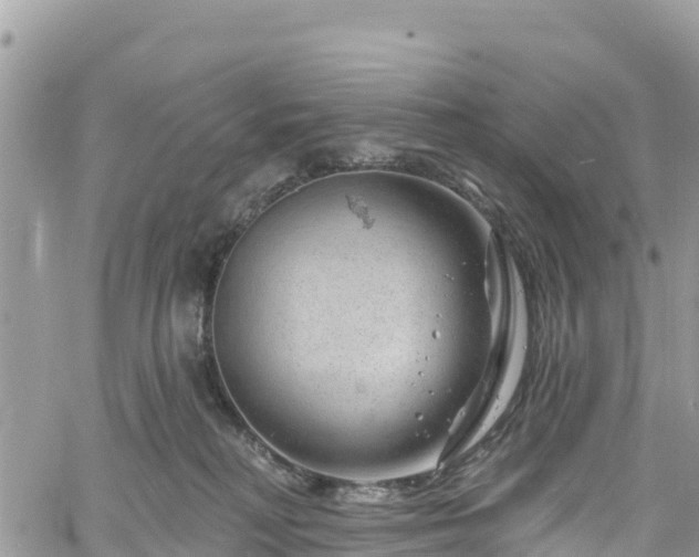 X0000061150230200511211010