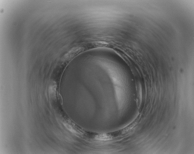 X0000061150231200511211010