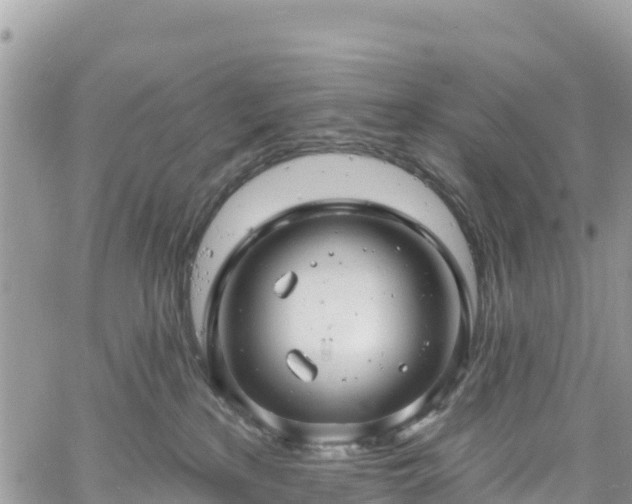 X0000061150233200511211010