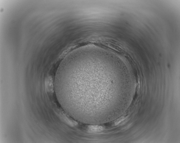 X0000061150234200511211010