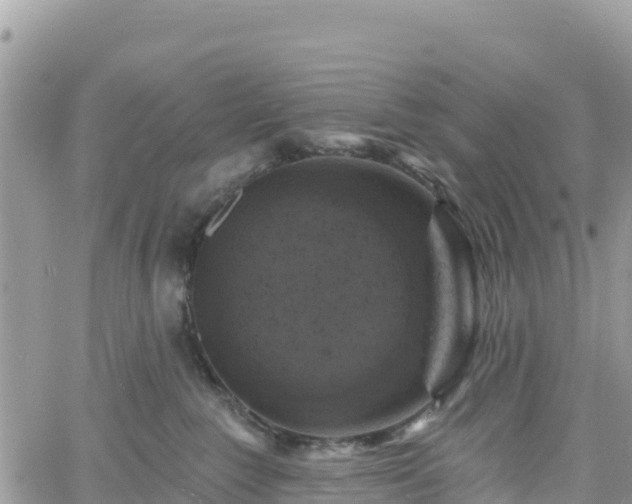 X0000061150235200511211010