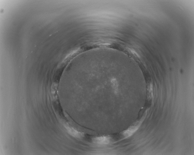 X0000061150237200511211010