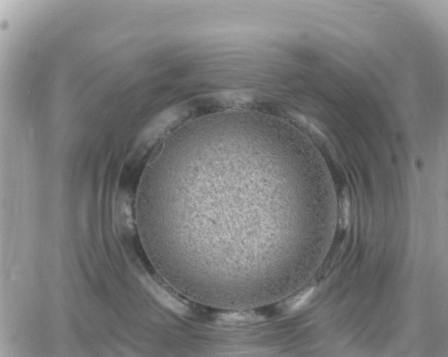 X0000061150238200511211010