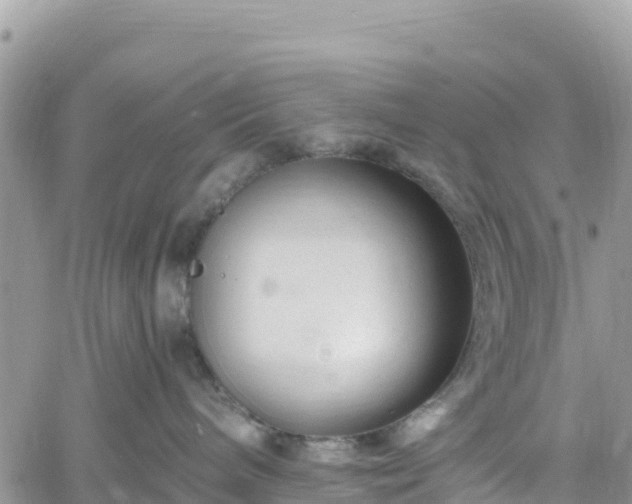 X0000061150240200511211010