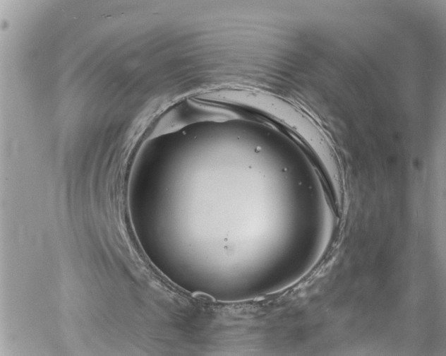 X0000061150241200511211009