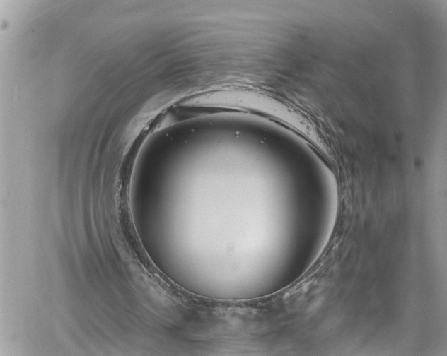 X0000061150242200511211009