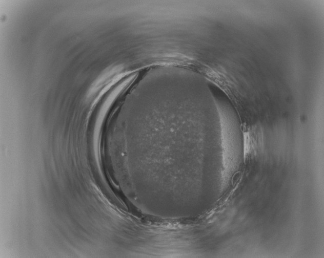 X0000061150243200511211009