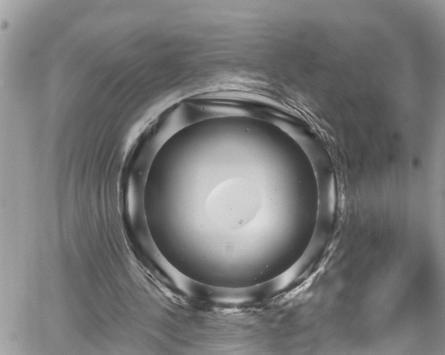 X0000061150244200511211009