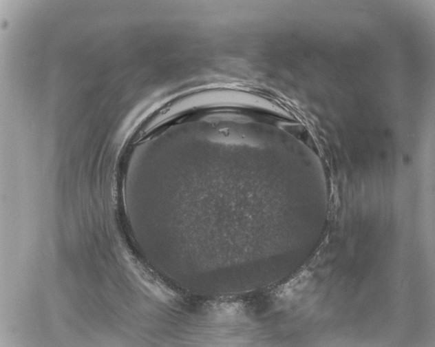 X0000061150247200511211009