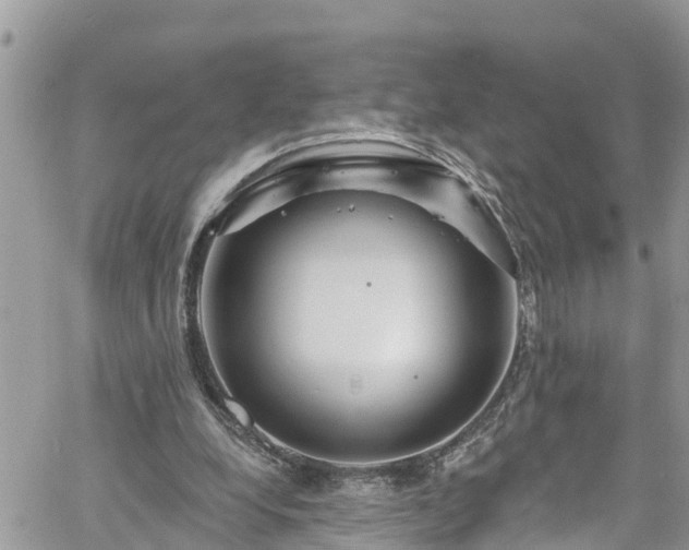 X0000061150248200511211009