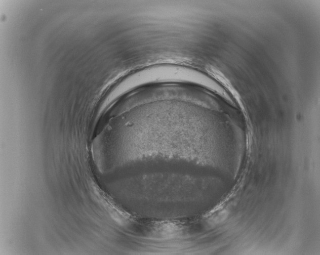 X0000061150249200511211009