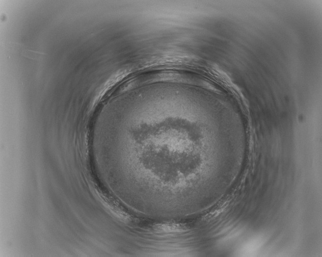 X0000061150250200511211009