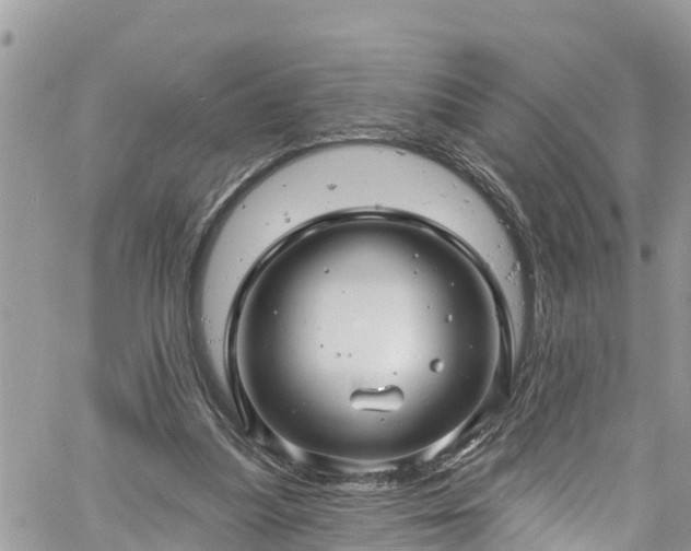 X0000061150251200511211009