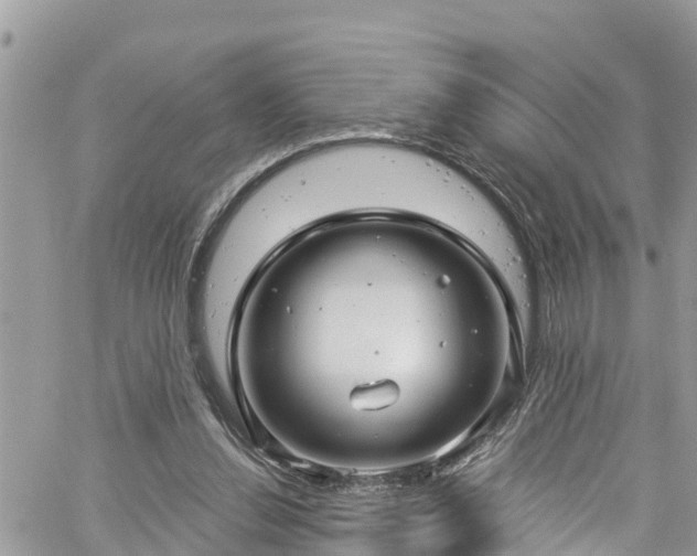 X0000061150252200511211009