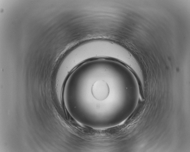 X0000061150256200511211009