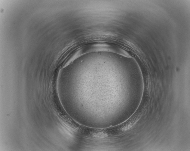 X0000061150258200511211009