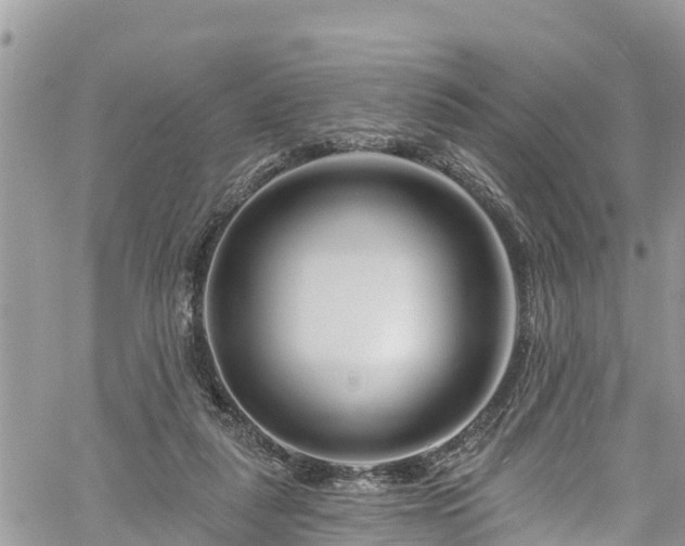 X0000061150259200511211009