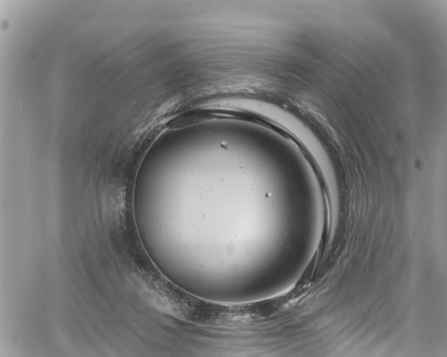 X0000061150260200511211009