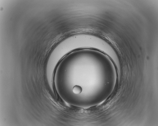 X0000061150261200511211009