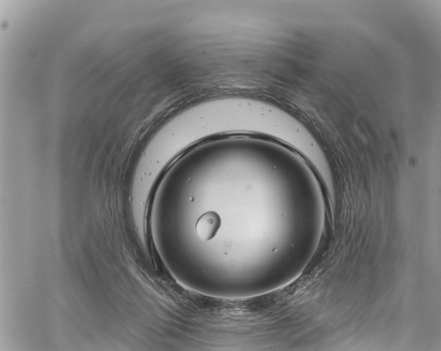 X0000061150262200511211009