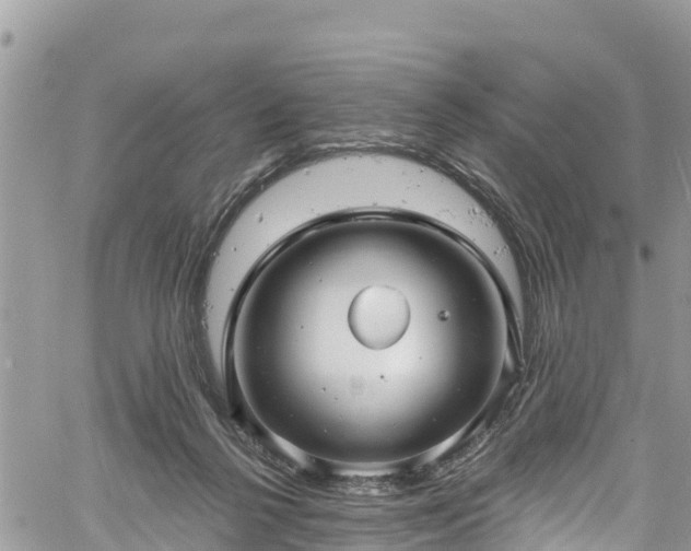 X0000061150264200511211009