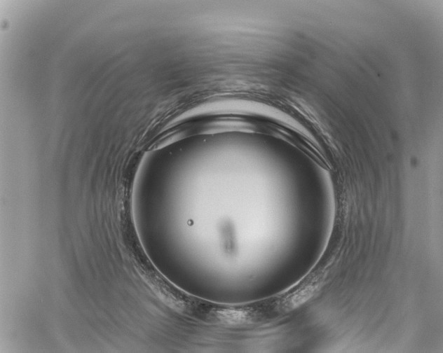 X0000061150265200511211009