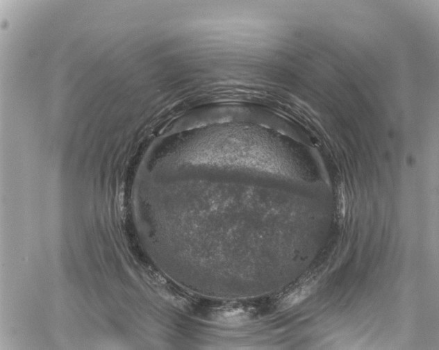 X0000061150267200511211009