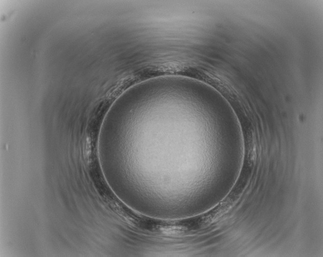 X0000061150268200511211009