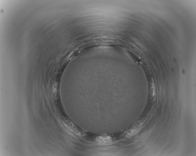 X0000061150271200511211009