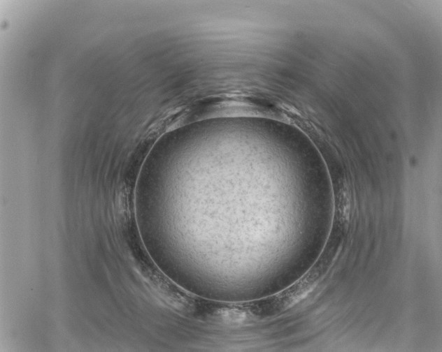 X0000061150272200511211009