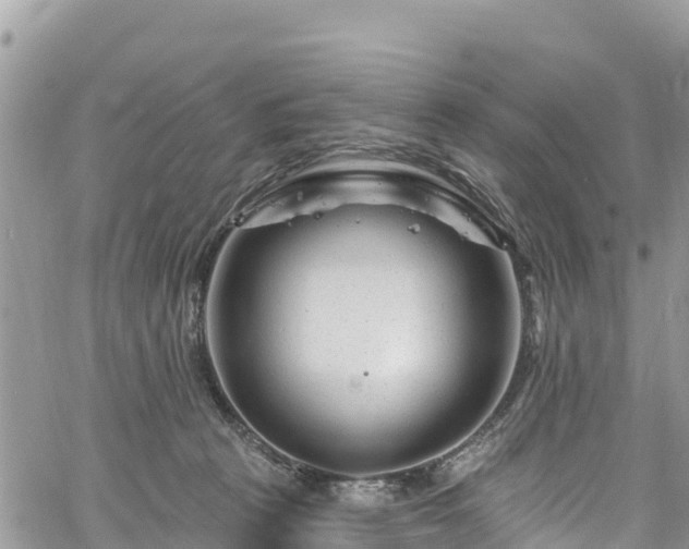 X0000061150273200511211009