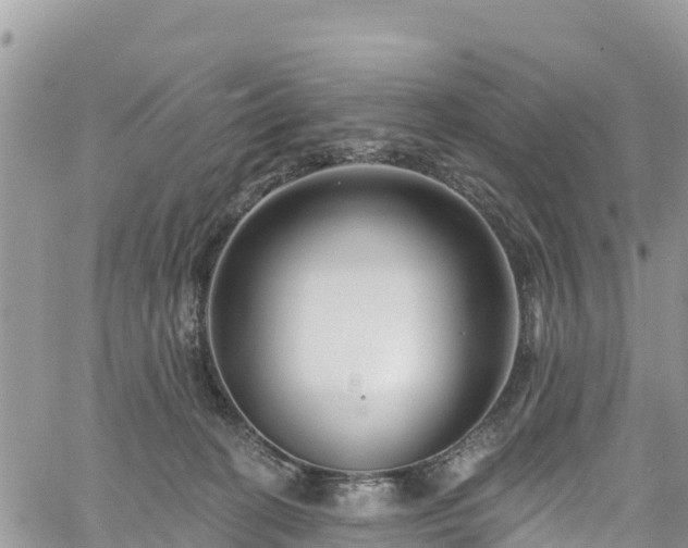 X0000061150274200511211009