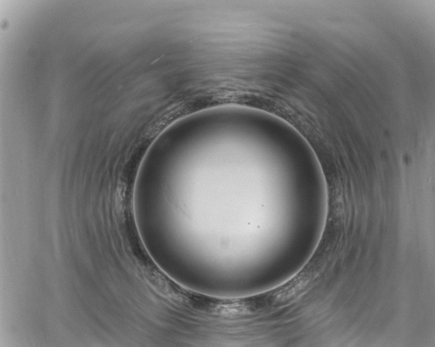 X0000061150275200511211009