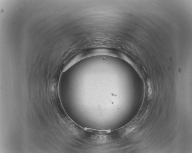 X0000061150276200511211009