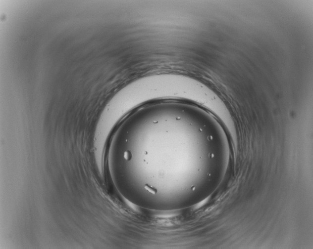 X0000061150277200511211009