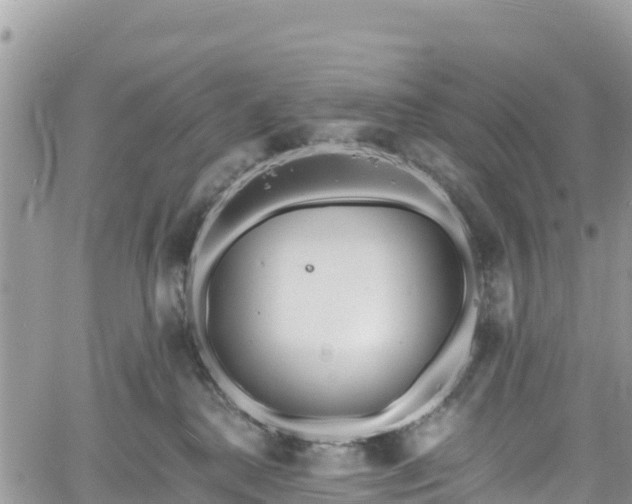 X0000061150280200511211009