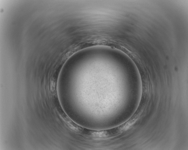 X0000061150281200511211009