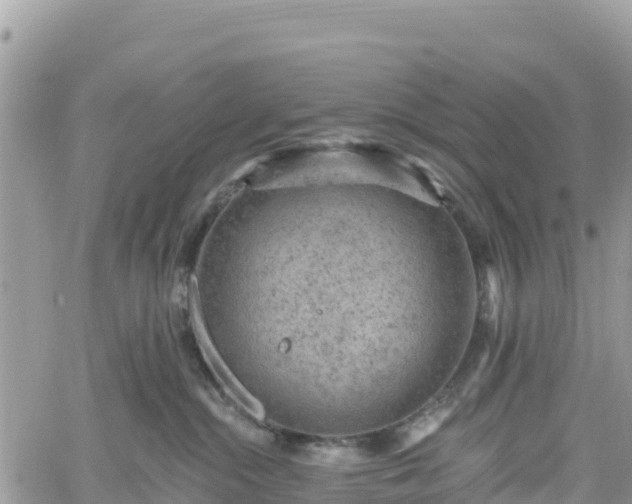 X0000061150284200511211009