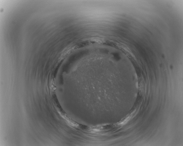 X0000061150285200511211009