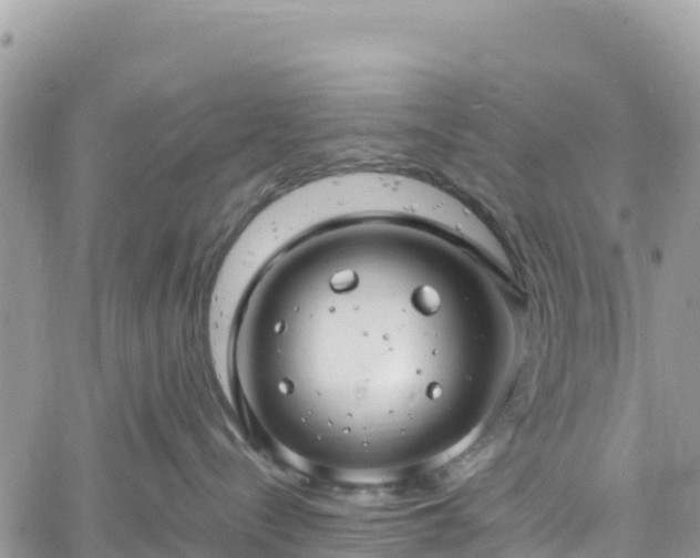 X0000061150288200511211010